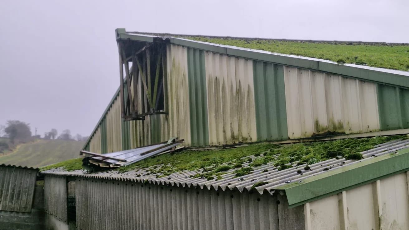 Entrée d'air à cadre en bois dégradée et bardage encrassé sur une porcherie, avant rénovation